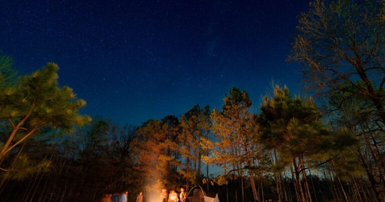 2025 Audubon in Action and Audubon Collaborative Grant Projects