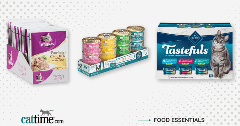 11 Best Wet Cat Foods That Even Picky Eaters Will Love