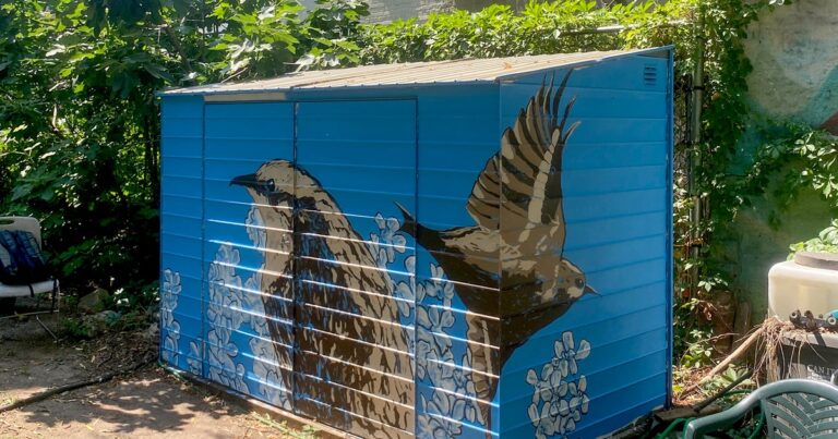 Brown Creeper by Frank Parga