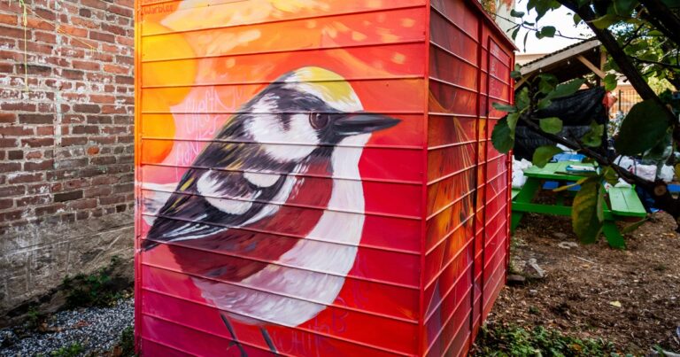 Chestnut-sided Warbler by Andrea Amanda