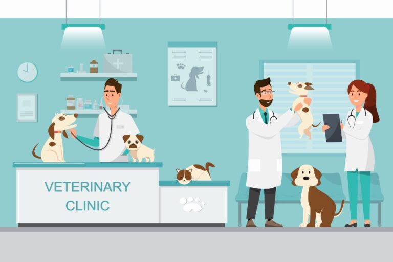 Top Reasons for Dog/Cat Vet Visits and How Much it Costs * All Natural Pet Care