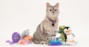 The Importance of Toy Rotation