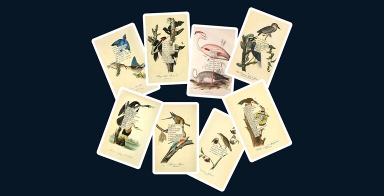 Can Birds Predict the Future? Avian Divination Traditions See a Revival