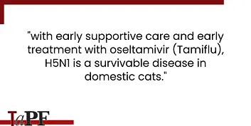 Potential Treatment for Cats with Avian Flu – Truth about Pet Food