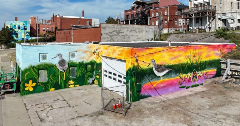 Lesser Yellowlegs by Robert Fishbone