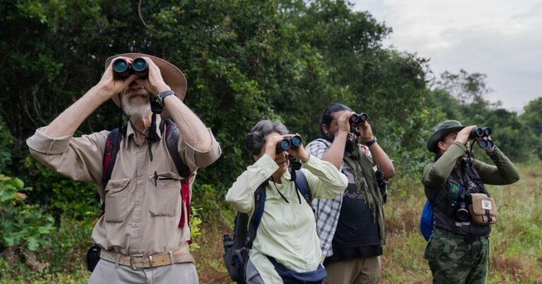Join Audubon’s 126th Annual Christmas Bird Count and Help Protect Birds Across the Hemisphere