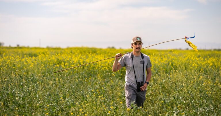 Celebrating 2025 Working Lands for Tricolored Blackbirds
