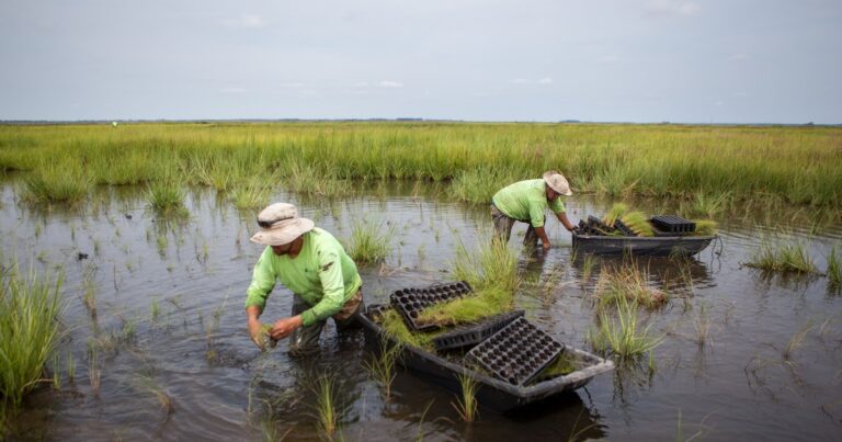 Audubon Releases “Nature Works!” Showcasing Nature-Based Solutions