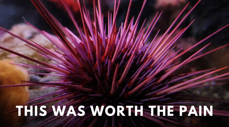 This was worth the pain – Dr. Dobias Healing Solutions