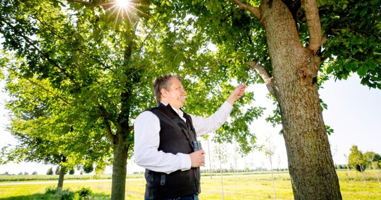 Got Beef With Cowbirds? This Researcher Wants to Change Your Mind