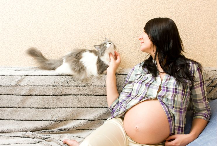 If Your Cat Does These 15 Things, It’s Basically Decided You’re Its Mum