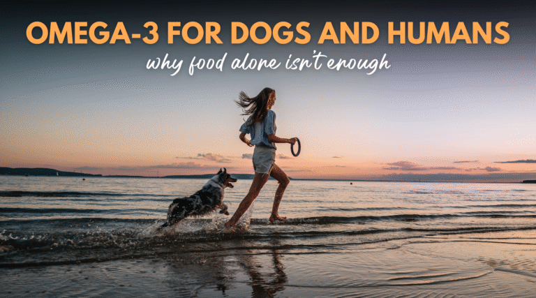 Why Food Alone Isn’t Enough – Dr. Dobias Healing Solutions