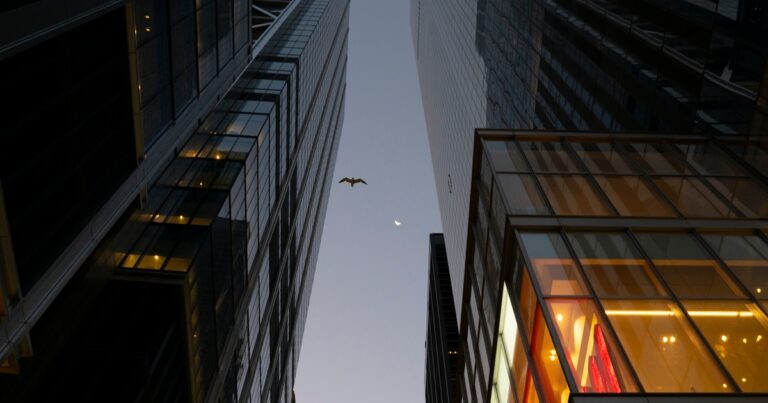 Texas Takes Flight: Cities and Campuses Uniting for Bird‑Friendly Buildings