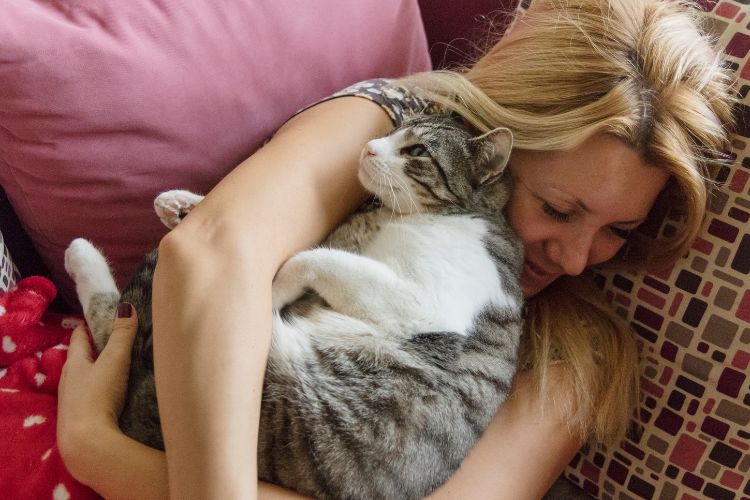 These Cat Breeds Will Follow You Everywhere (And Never Apologize)