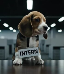 Exotic & Alternative Career Paths for ABC Graduates