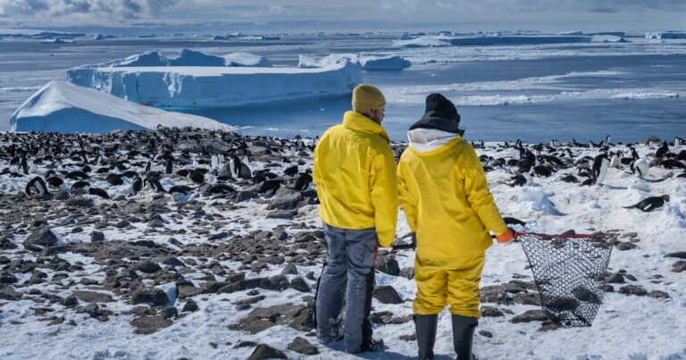 Follow Scientists on a Daring Mission to the Danger Islands, a Penguin-Breeding Stronghold