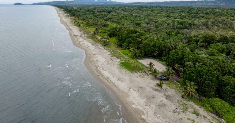 These 5 Projects Are Transforming the Prospects for Birds and People in Latin America