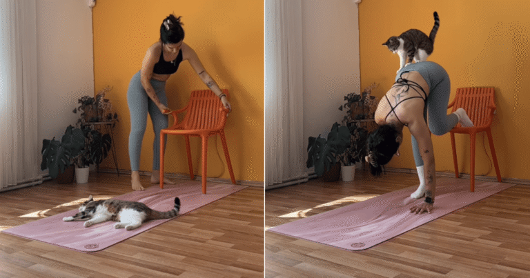 Cat Hilariously Interrupts Mom’s Yoga Session & Takes Over Her Mat