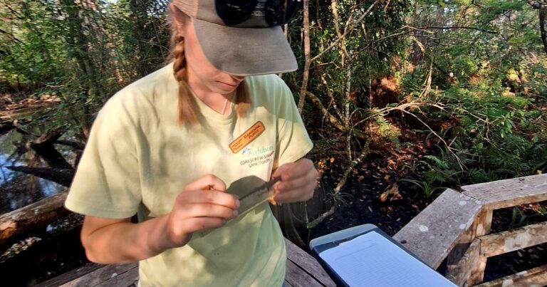 A Day in the Life: Corkscrew Swamp Sanctuary Research Associate
