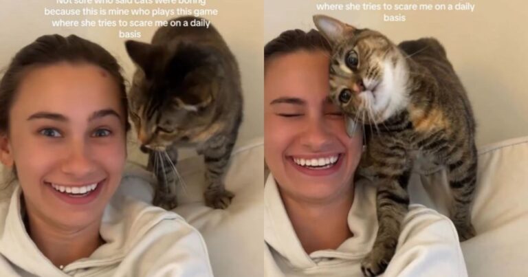 Cat Loves To Play Game Where She Tries To Scare Her Owner