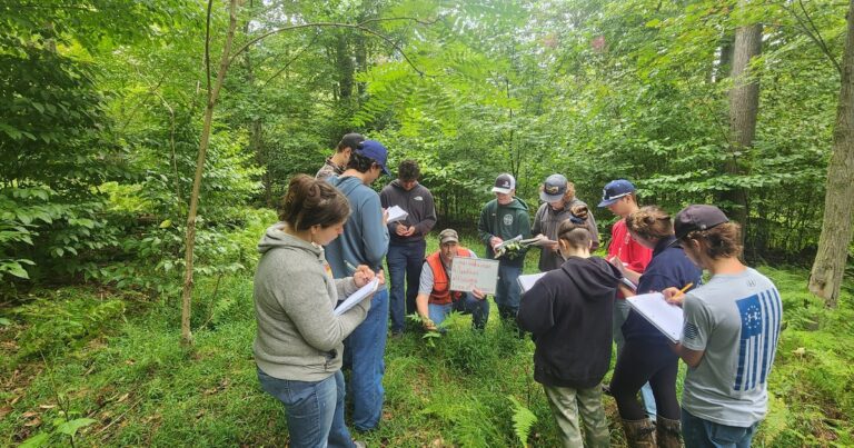 From Streams to Canopy: A Forester’s Growth Through Audubon Training