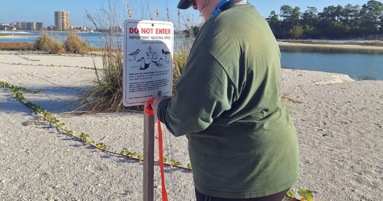 A Day in the Life: Shorebird Program Manager