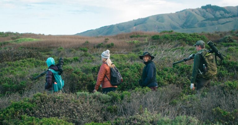 Thousands Across California Document Birds for the State’s First-Ever Breeding Bird Atlas