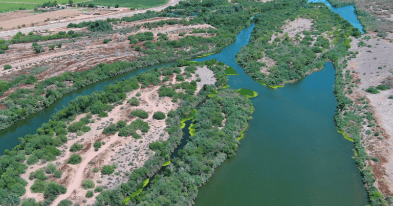 Working Together in the Lower Gila River Corridor