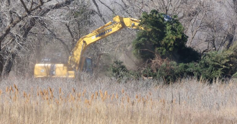 Restoring the Platte | Audubon