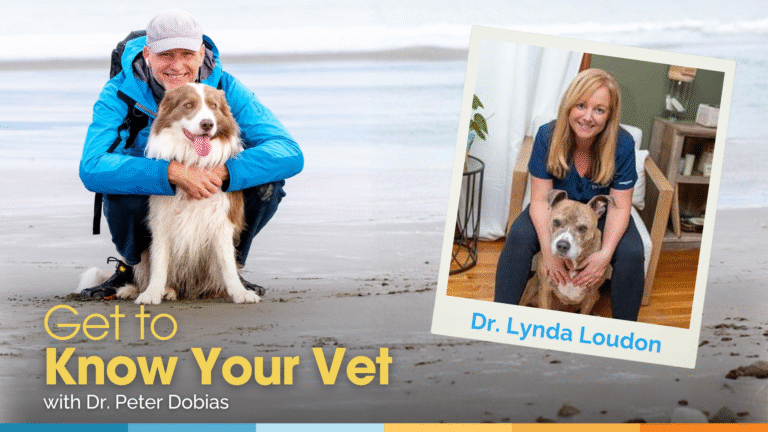 Get to Know Your Vet with Dr. Lynda Loudon – Dr. Dobias International