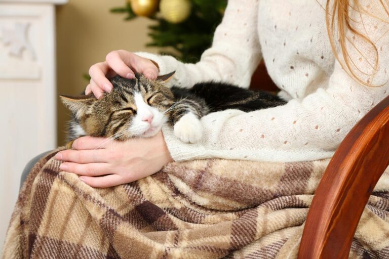 Cat Behaviors That Confuse Everyone But Their Owners