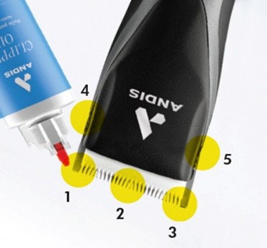 Why Quality Clippers Matter in Veterinary Practice