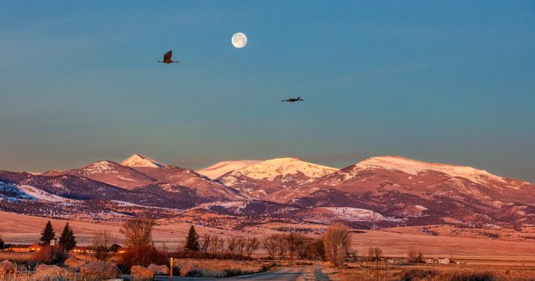 Audubon Welcomes Senate Action on America the Beautiful Act