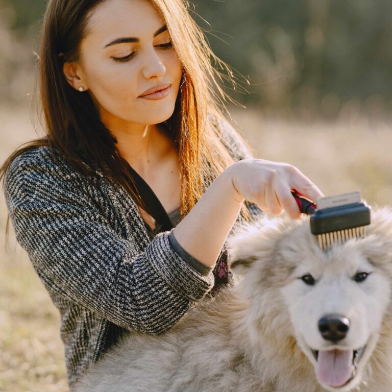 Why Brushing Your Dog Is Important for Their Health – PRIDE+GROOM