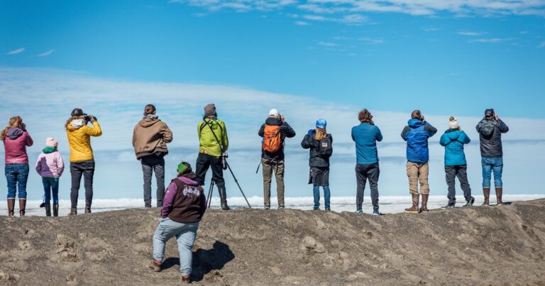The Utqiaġvik Migratory Bird Festival Returns for a Fourth Year