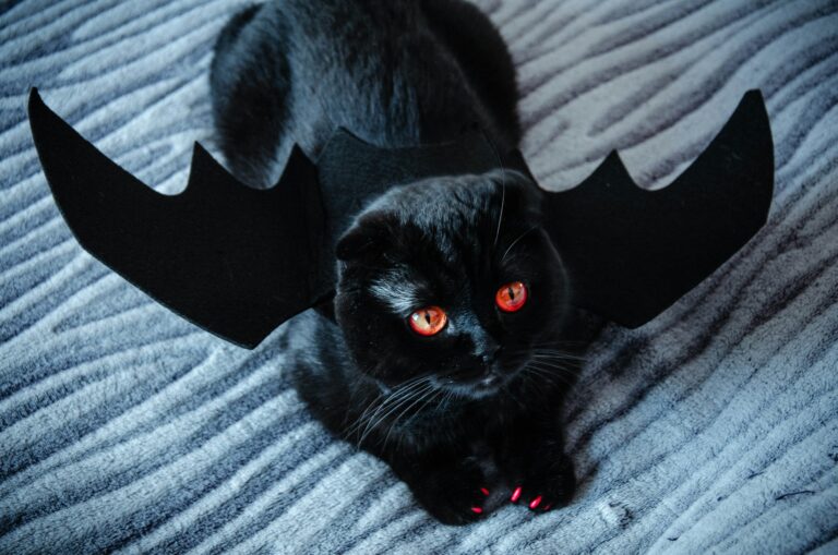 10 “Magical” Powers Your Cat Swears It Has — And You Can’t Fully Rule Out