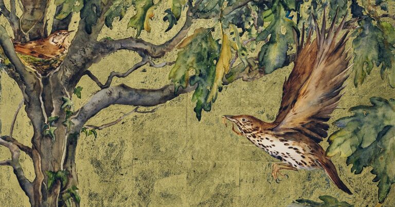 Add These 6 Birdy Books to Your Summer Reading List