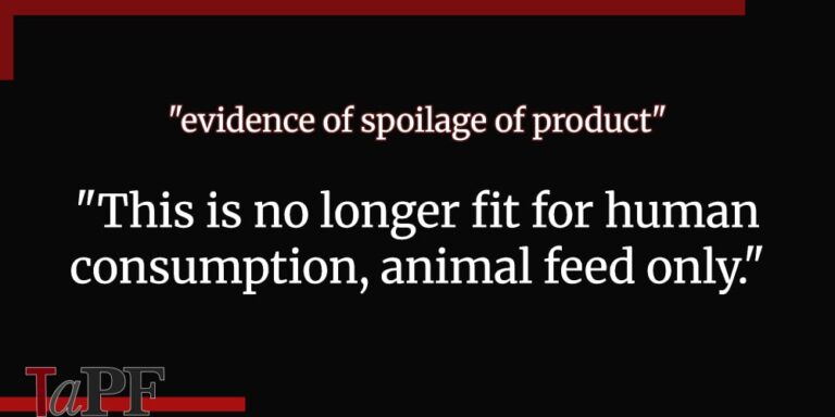 Rotting Spoiled Organic Lamb Coming To A Pet Food Soon – Truth about Pet Food