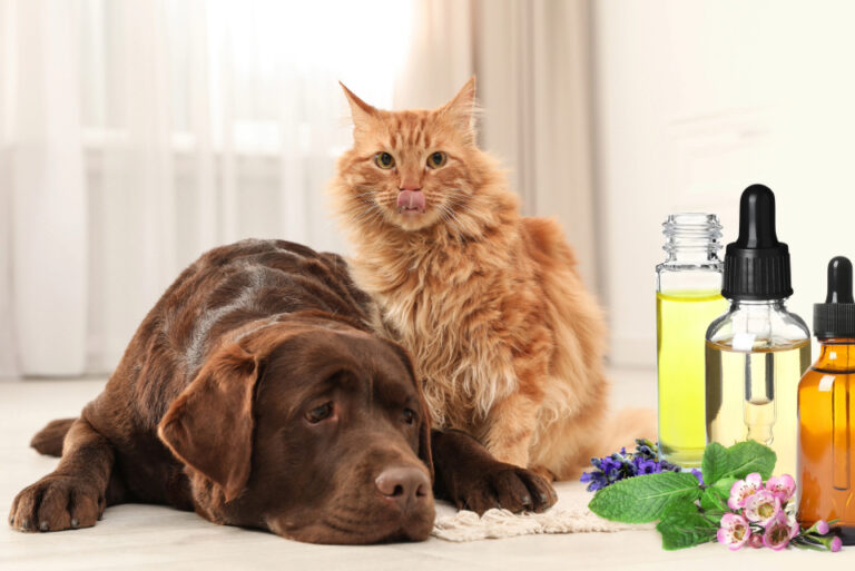 Potency, Safety & Shelf Life * All Natural Pet Care