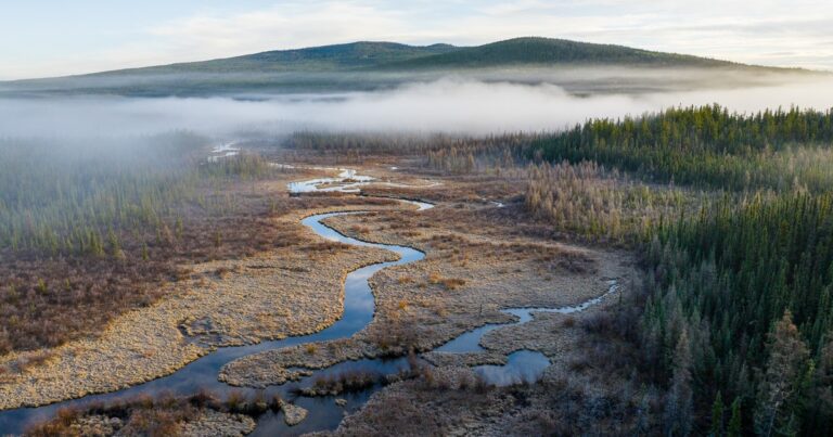 A Rare Opportunity to Support Indigenous-led Conservation in Canada