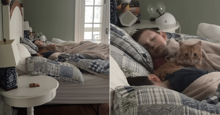Cat Sneaks Into Kids’ Bed—Convinced They’re Her Babies