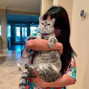 What Consent Looks Like in Cats