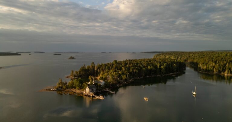 Celebrating Hog Island Audubon Camp’s 90th Anniversary