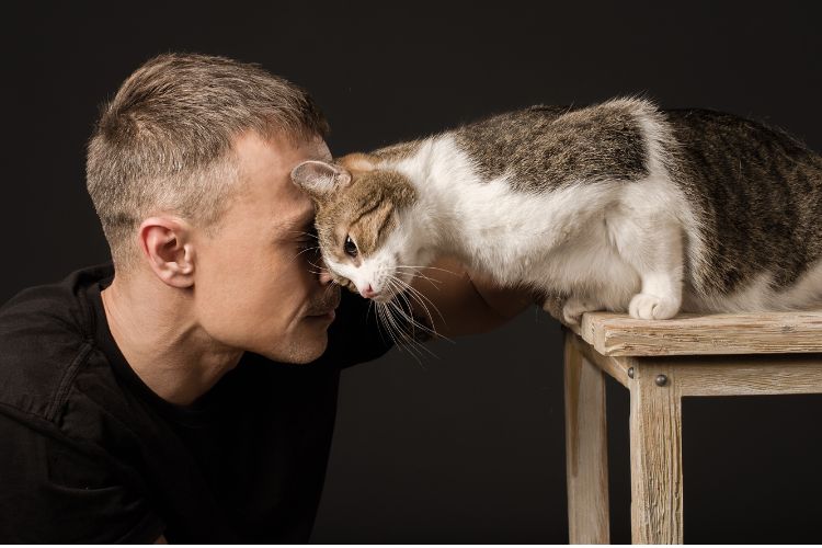 10 Reasons Cats Make the Best Therapists You’ll Ever Have — Do You Feel It Too?