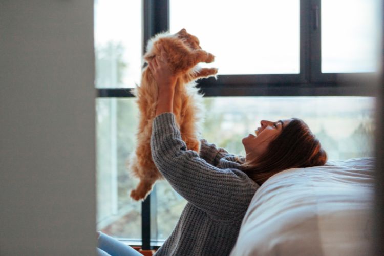 15 Simple Ways to Build a Stronger Bond With Your Cat