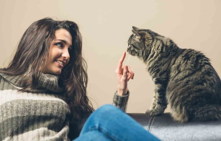 Every Cat Owner Has Wondered What Their Cat Is Actually Thinking — Here’s the Answer
