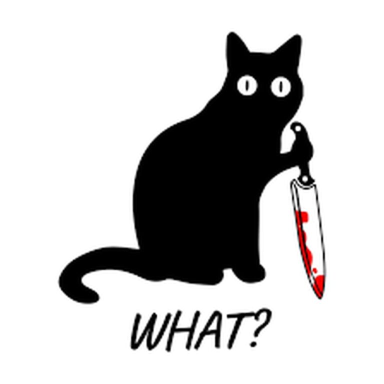 These Black Cat Memes Are Pure Mischief (and Totally Adorable)