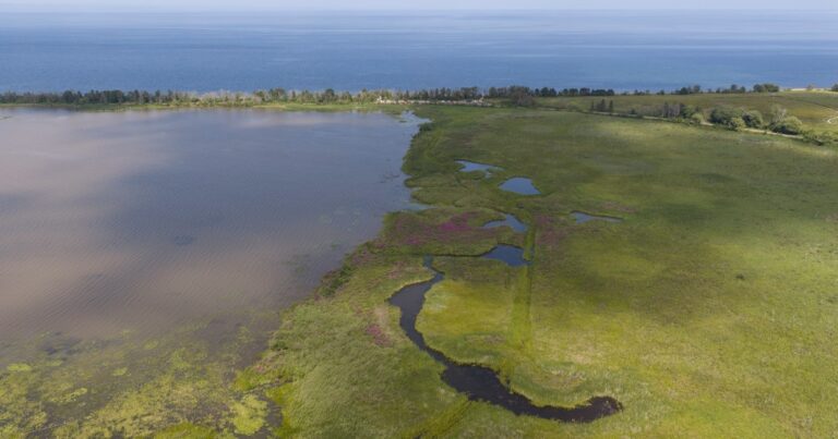 On the Water at Allouez Bay: Restoring a Critical Lake Superior Wetland