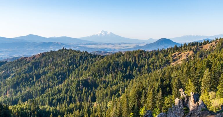 America’s Natural Heritage: National Monuments Are Essential for Birds—and for All of Us