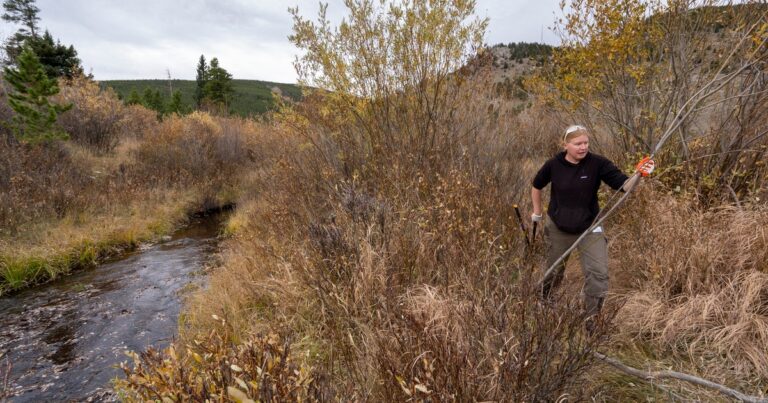 Federal Grants Offer $85 Million for Watershed Health and Stream Restoration